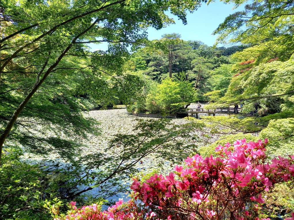🌳 고베 시립 삼림식물원 (고베 시리츠 신린 쇼쿠부츠엔) 이미지 6